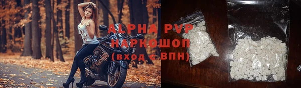СК Протвино