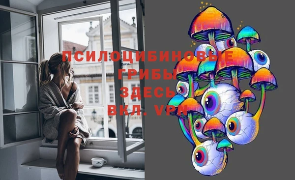 бошки Балахна