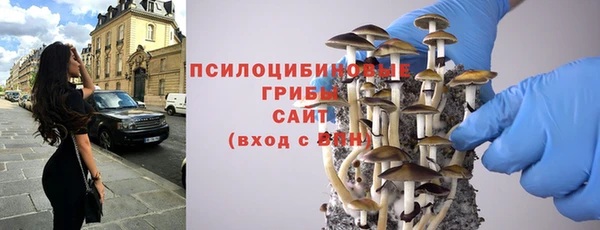 дживик Приозерск